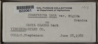Image Associated With the Occurence